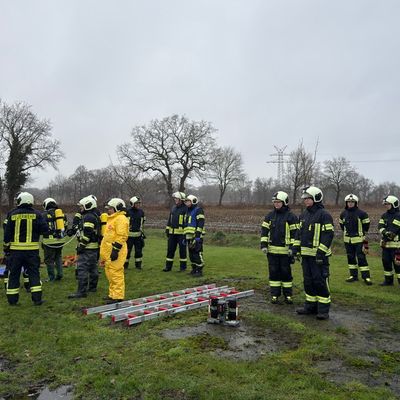 FW-AUR: Zwei Kühe aus Lebensgefahr gerettet