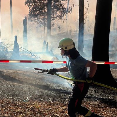 FW Kreis Soest: Waldbrand am Möhnesee / Feuerwehren aus dem Kreis Soest im Einsatz