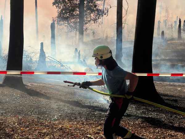 FW Kreis Soest: Waldbrand am Möhnesee / Feuerwehren aus dem Kreis Soest im Einsatz