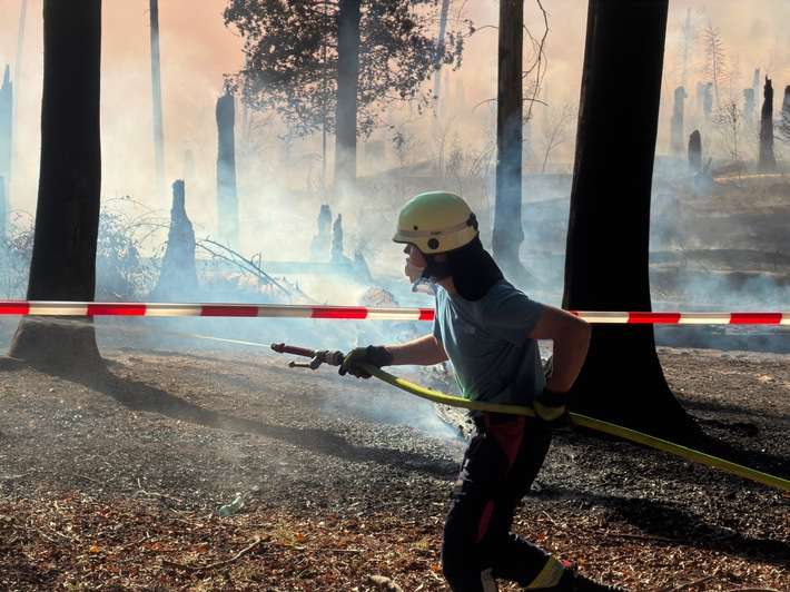 FW Kreis Soest: Waldbrand am Möhnesee / Feuerwehren aus dem Kreis Soest im Einsatz