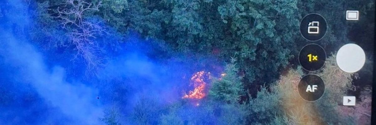 FW-PL: Ortsteil Tanneneck - Waldbrand fordert viele Einsatzkräfte