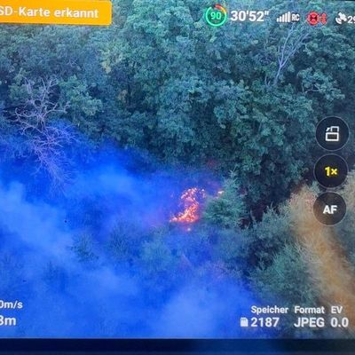 FW-PL: Ortsteil Tanneneck - Waldbrand fordert viele Einsatzkräfte