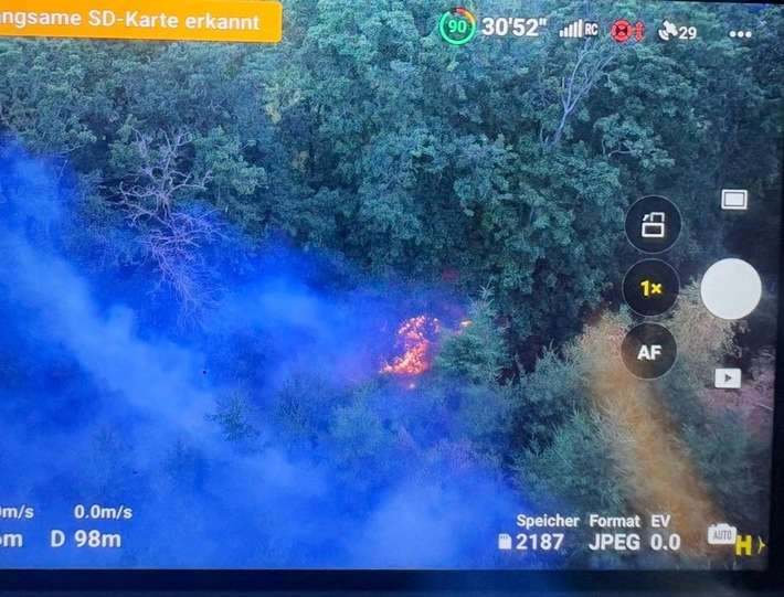 FW-PL: Ortsteil Tanneneck - Waldbrand fordert viele Einsatzkräfte
