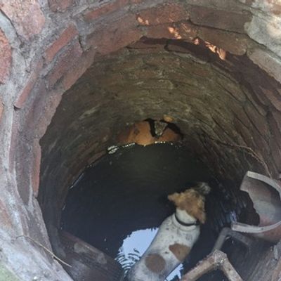 FW Dinslaken: Tag der Tierrettung und kleiner Vegetationsbrand