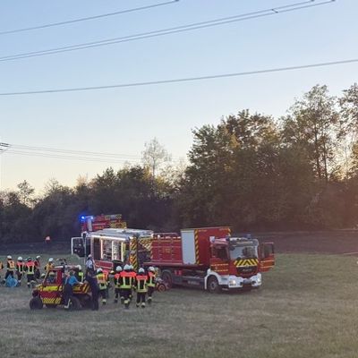 Feuerwehr MTK: Großeinsatz bei Vegetationsbrand in Hattersheim: Mehr als 200 Einsatzkräfte bekämpfen ausgedehnten Wiesen- und Waldbrand - umfangreiche Nachlöscharbeiten dauern an