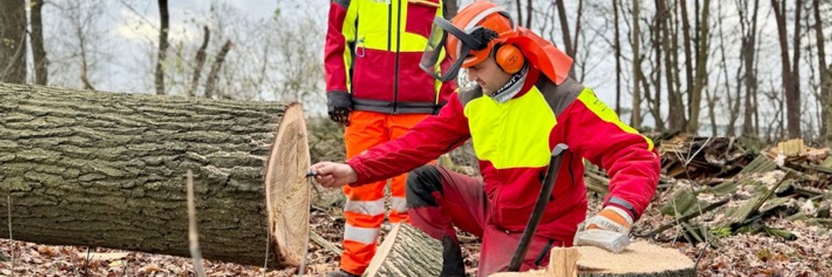FW-OLL: Motorsägenausbildung erfolgreich fortgesetzt