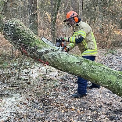 FW Lehrte: "Achtung - Baum fällt" - Stadtfeuerwehr Lehrte bildet 11 neue Motorsägenführer*innen aus