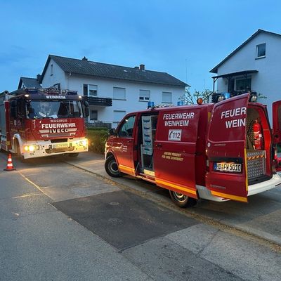 FW Weinheim: Keine Langeweile für die Weinheimer Feuerwehr am Wochenende