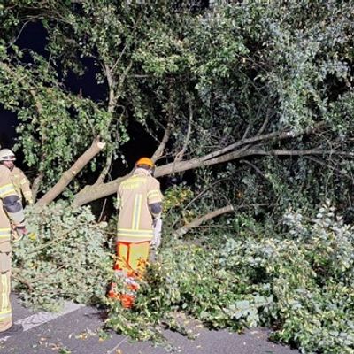 Feuerwehr Kalkar: Rübentransporter kommt auf der B67 von der Fahrbahn ab - Fahrer bleibt unverletzt