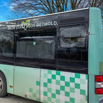 FW-DT: Unfall zweier Linienbusse - Feuerwehr sichert zerstörte Seitenscheiben