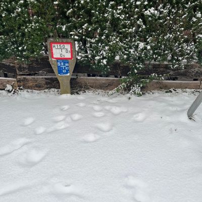 FW Celle: Hydranten vom Schnee befreien