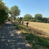 FW-E: Vegetationsbrand auf Stoppelfeld in Essen-Leithe - Feuerwehr verhindert Brandausbreitung