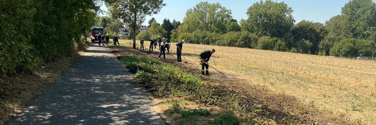 FW-E: Vegetationsbrand auf Stoppelfeld in Essen-Leithe - Feuerwehr verhindert Brandausbreitung