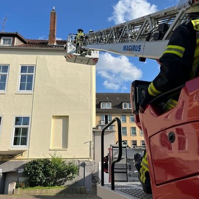 FW Celle: Vogel aus Dachrinne gerettet