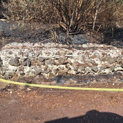 FW Sonsbeck: Aufräumarbeiten Waldbrand Labbeck