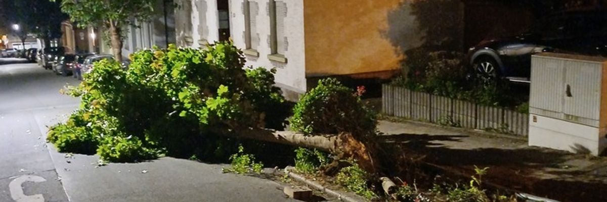 FW-EN: Wetter - Sattelauflieger bringt Baum zu fallen