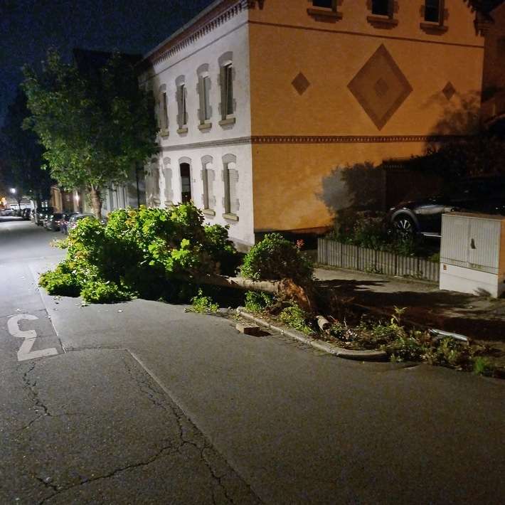 FW-EN: Wetter - Sattelauflieger bringt Baum zu fallen