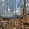 FW-RS: Mehrere Einsätze für die Feuerwehr: Verkehrsunfall und Waldbrand