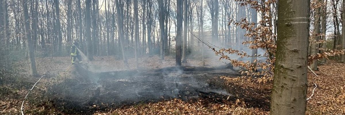 FW-RS: Mehrere Einsätze für die Feuerwehr: Verkehrsunfall und Waldbrand