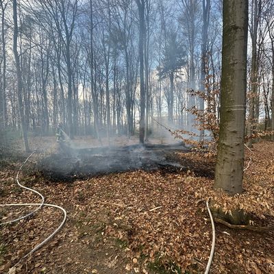 FW-RS: Mehrere Einsätze für die Feuerwehr: Verkehrsunfall und Waldbrand
