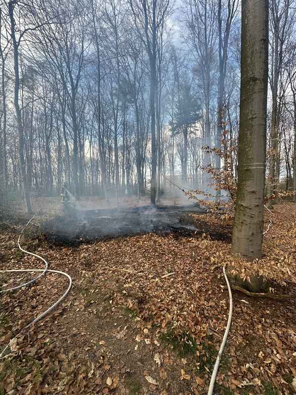 FW-RS: Mehrere Einsätze für die Feuerwehr: Verkehrsunfall und Waldbrand