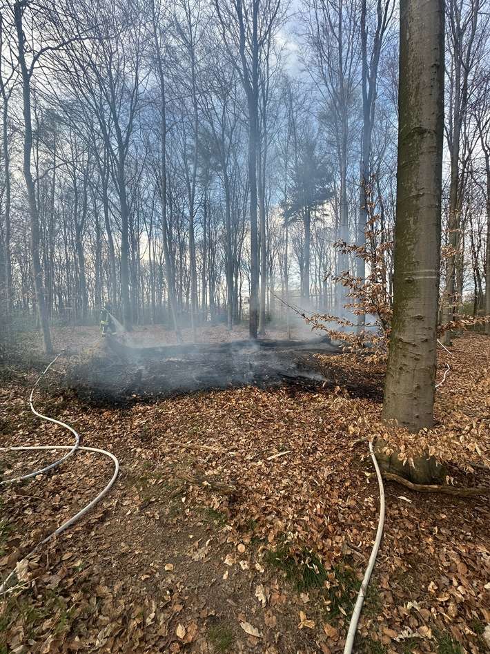FW-RS: Mehrere Einsätze für die Feuerwehr: Verkehrsunfall und Waldbrand