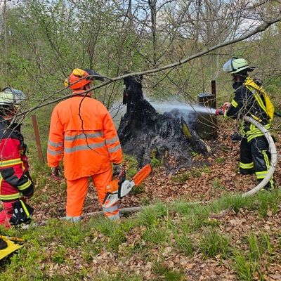FW Königswinter: Feuer im Wald rechtzeitig entdeckt - Waldbrandgefahr aktuell noch hoch