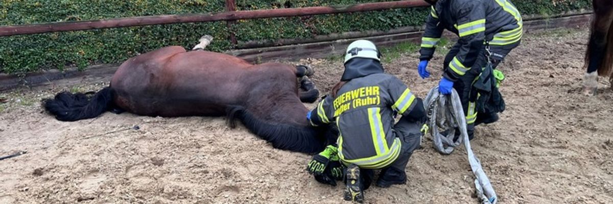 FW-EN: 3 Einsätze am Montagnachmittag für die Freiwillige Feuerwehr Wetter (Ruhr)