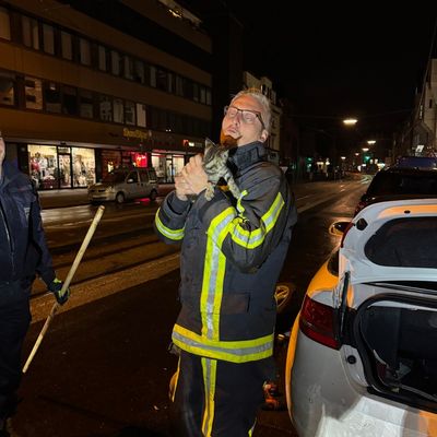 FW-BO: Kuriose Tierrettung