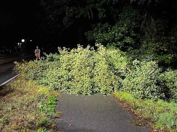 FW Hünxe: Baum blockiert Radweg