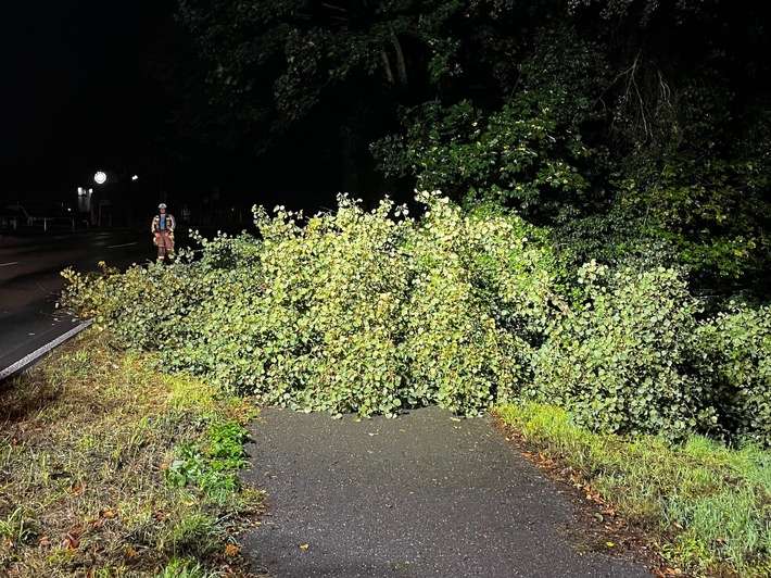 FW Hünxe: Baum blockiert Radweg