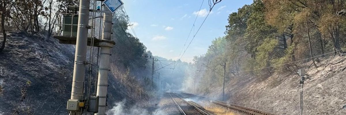 FW Bergheim: Erweiterte Einsatzinformation - Waldbrand an der Landstraße 91bei Oberaußem