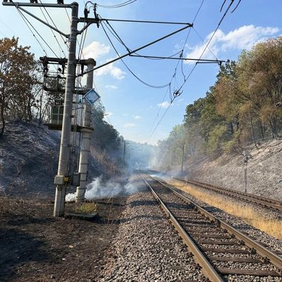 FW Bergheim: Erweiterte Einsatzinformation - Waldbrand an der Landstraße 91bei Oberaußem
