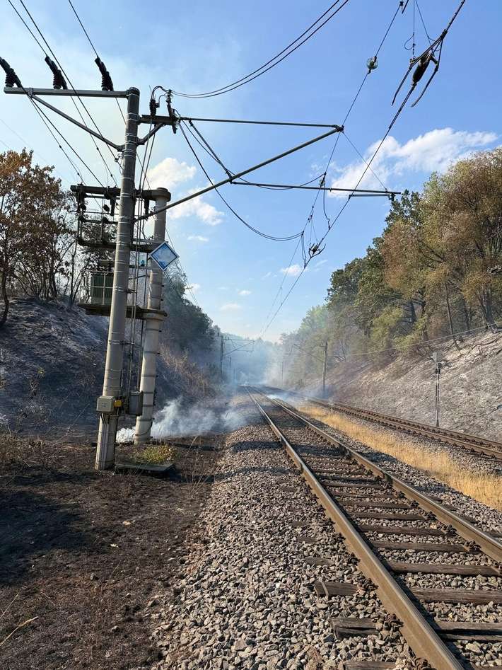 FW Bergheim: Erweiterte Einsatzinformation - Waldbrand an der Landstraße 91bei Oberaußem