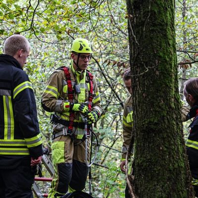 FW-MK: Feuerwehr rettet Golden Retriever aus Steilhang im Iserlohner Stadtwald