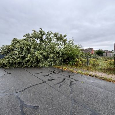FW Geestland: Nach Starkwinden in Langen: Verkehrsbehinderungen durch umgestürzte Bäume