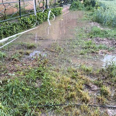 FW Bergheim: Über 100 Unwettereinsätze am Freitagabend in Bergheim