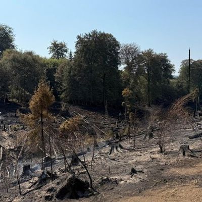 FW Kreis Soest: Waldbrand bei Möhnesee: 130 Einsatzkräfte kämpfen weiter gegen die Flammen