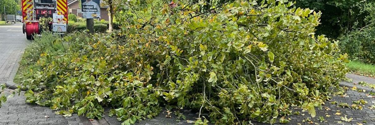 FW Alpen: umgestürzter Baum auf Gehweg