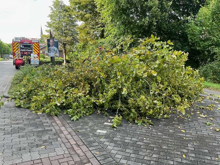 FW Alpen: umgestürzter Baum auf Gehweg