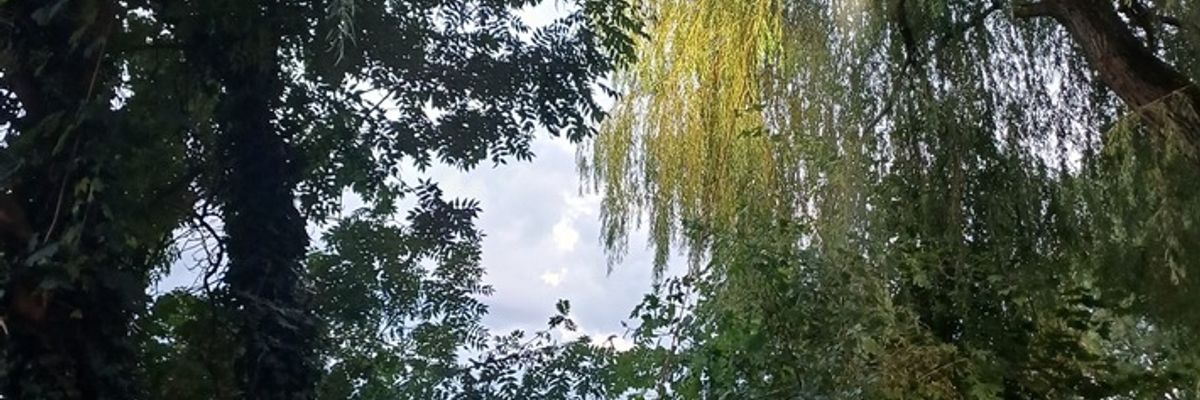 FW-EN: Wetter - Ast drohte auf Ruhrradwanderweg zu stürzen - Einsatzkräfte schützen auch Tierfamilie