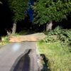 FW Hünxe: Baum blockierte Fahrbahn