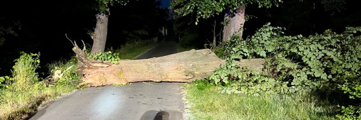 FW Hünxe: Baum blockierte Fahrbahn