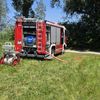 FW Reichenau: Hohler Baum fängt erneut an zu Glimmen, 20.06.2024, Reichenau-Mittelzell