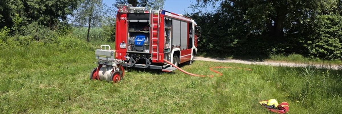 FW Reichenau: Hohler Baum fängt erneut an zu Glimmen, 20.06.2024, Reichenau-Mittelzell