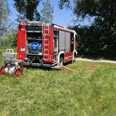 FW Reichenau: Hohler Baum fängt erneut an zu Glimmen, 20.06.2024, Reichenau-Mittelzell