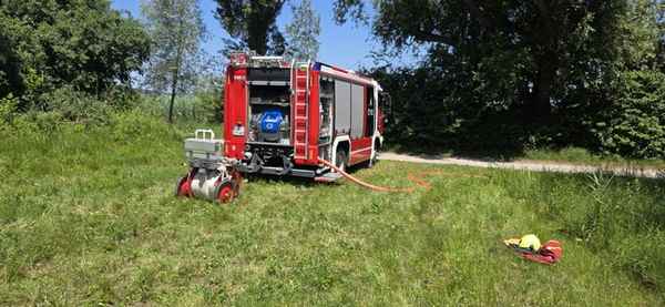 FW Reichenau: Hohler Baum fängt erneut an zu Glimmen, 20.06.2024, Reichenau-Mittelzell