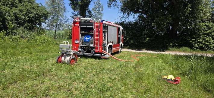 FW Reichenau: Hohler Baum fängt erneut an zu Glimmen, 20.06.2024, Reichenau-Mittelzell