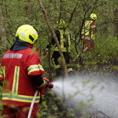 FW Celle: Waldbrand in Westercelle - Löscharbeiten werden aus der Luft unterstützt!