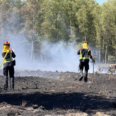 FW-BN: 1. Folgemeldung: EU-Waldbrandmodul in den Niederlanden eingesetzt.